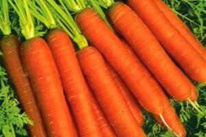 Phòng bệnh bằng cà rốt