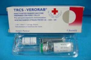 Những điều cần biết về vacxin phũng bệnh dại Verorab