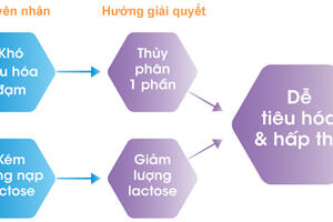 4,6 triệu trẻ Việt Nam bị rối loạn dinh dưỡng