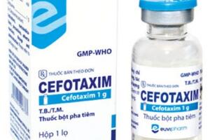Thuốc bột pha tiêm Cefotaxim bị tạm ngừng sử dụng