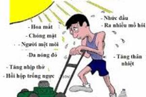 Nguyên nhân, cách xử trí và phòng say nắng, say nóng