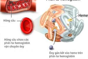 Thiếu máu dinh dưỡng - Cách nhận biết và phòng bệnh
