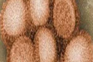 Thuốc điều trị cúm A/H1N1