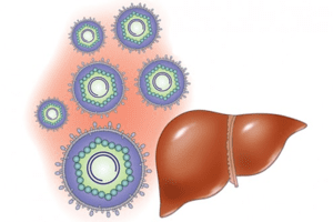 Viêm gan virus là bệnh có thể dự phòng được