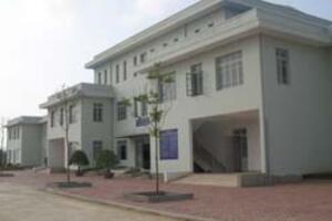 Bệnh viện Lao và Bệnh phổi tỉnh