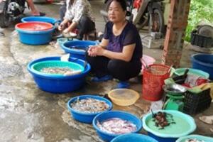 Nâng cao ý thức người tiêu dùng trong lựa chọn, sử dụng thực phẩm an toàn