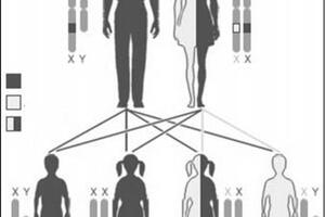 Bệnh thiếu men G6PD là gì?