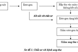 Chất xơ với sức khoẻ và một số bệnh mạn tính nguy hiểm