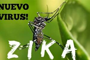 Virus zika: Đặc điểm dịch tễ, chẩn đoán, điều trị và dự phòng