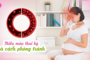 Phòng thiếu máu trong thời kỳ mang thai