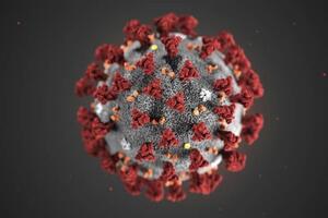 Sở Y tế thông tin mới nhất về dịch bệnh do virus Corona
