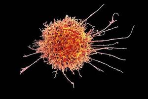 Nhật Bản sử dụng tế bào gốc đa năng trong điều trị ung thư