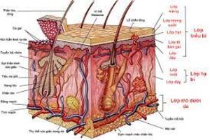Cách bảo vệ da khỏi loại ung thư hay gặp nhất