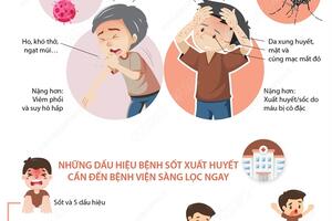 Chủ động phòng sốt xuất huyết mùa dịch COVID, tránh nguy cơ 'dịch chồng dịch'
