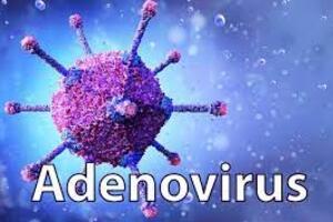 Khi nào nên xét nghiệm Adenovirus cho trẻ?