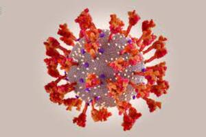 Tình hình dịch bệnh Viêm đường hô hấp cấp do SARS-CoV-2 (Tính đến 15h00 ngày12/01/2023)