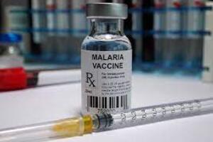 WHO khuyến nghị vaccine thứ hai phòng sốt rét