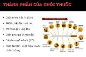 Bài 3: Thành phần và độc tính của khói thuốc lá