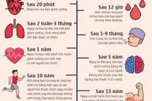 Bài 15. Những lợi ích khi cai thuốc lá