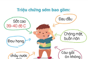 Những điều cần  biết về viêm não mô cầu