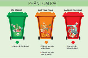 Thực hiện Kế hoạch phân loại chất thải rắn sinh hoạt tại nguồn trên địa bàn tỉnh Ninh Bình đến năm 2025