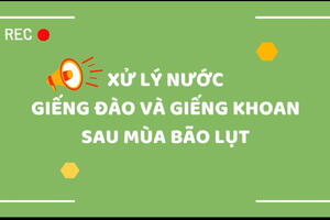video - HƯỚNG DẪ N XỬ LÝ NƯỚC SAU BÃO LŨ