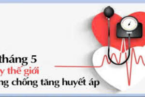 Ngày thế giới phòng, chống tăng huyết áp 17/5/2025: “Ăn uống lành mạnh – vận động đều – kiểm soát huyết áp tốt”