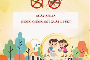 Ý nghĩa ngày Asean phòng chống sốt xuất huyết