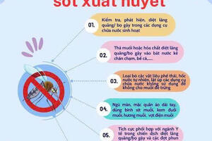 Tổ chức các hoạt động cao điểm phòng, chống bệnh sốt xuất huyết, tay chân miệng và COVID-19