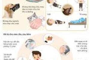 Những điều cần biết về Bệnh Dại