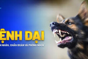 Bệnh Dại (Rabies)