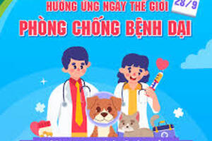 Tăng cường công tác truyền thông phòng, chống bệnh Dại năm 2025