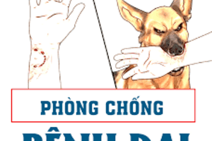 THÔNG ĐIỆP PHÒNG CHỐNG BỆNH DẠI