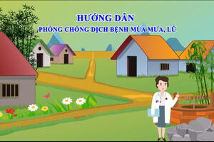 VIDEO - Hướng dẫn phòng, chống dịch  bệnh mùa mưa bão