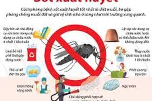 Video - THÔNG ĐIỆP PHÒNG CHỐNG BỆNH SỐT XUẤT HUYẾT