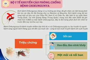 Tăng cường phòng, chống bệnh Chikungunya.