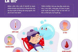 Tăng cường công tác phòng, chống lây nhiễm liên cầu lợn sang người