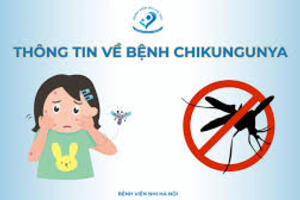 mp3 - Những điều cần  biết về bệnh Chikungunya