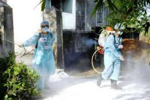 Công văn truyền thông phòng, chống liên cầu lợn
