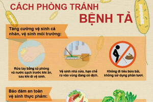 Các biện pháp phòng chống dịch tả