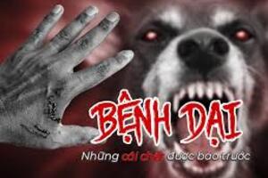 THÔNG TIN BÁO CHÍ VỀ BỆNH DẠI