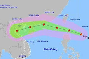 Chủ động ứng phó với bão RAGASA