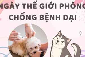 Trung tâm Y tế Phủ Lý: Tuyên truyền hưởng ứng Ngày thế giới phòng chống bệnh dại 28/9/2025
