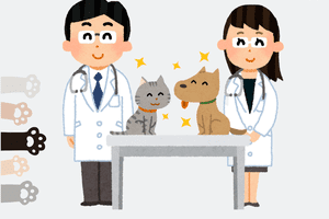 Tăng cường công tác phòng chống bệnh dại và hưởng ứng ngày Thế giới phòng chống bệnh dại 28/9/2025