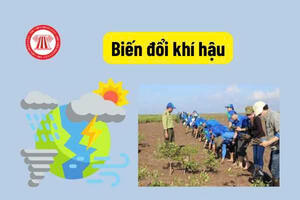 Cách ứng phó để giảm thiểu biến đổi khí hậu