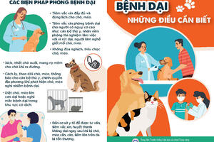 Những điều cần biết về bệnh Dại