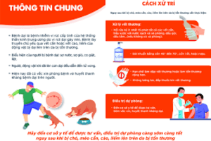 Cách xử trí phòng, chống bệnh Dại