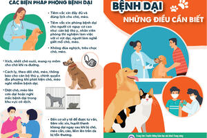 NỘI DUNG THAM KHẢO TRUYỀN THÔNG VỀ PHÒNG, CHỐNG BỆNH DẠI