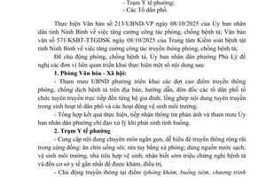 Tăng cường công tác truyền thông phòng, chống bệnh tả