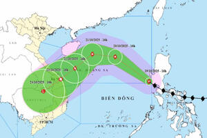 Tiếp tục chủ động các biện pháp ứng phó với bão số 12 (bão Fengshen)